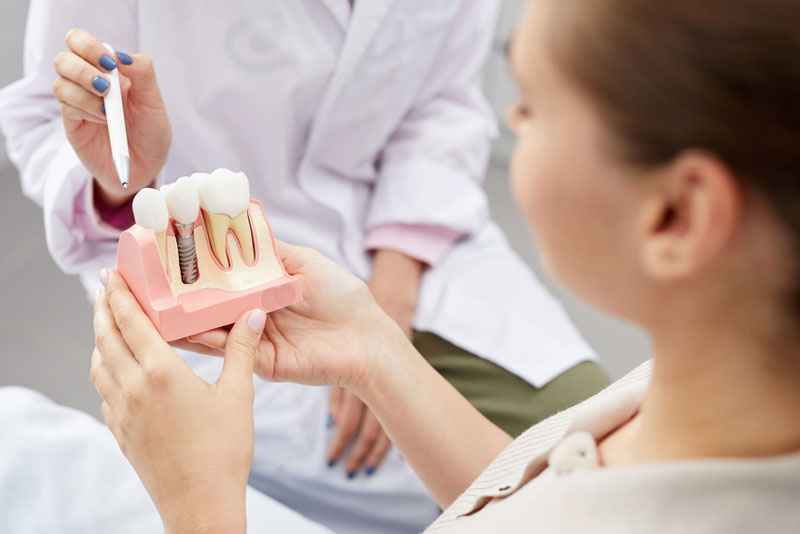 Dental patient holding a tooth model with implant while dentist explains treatment using a pen.